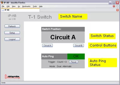 T-1 Switch interface with highlighted elements on a computer screen