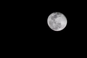 Lessons from Apollo 13: Resilience in Action