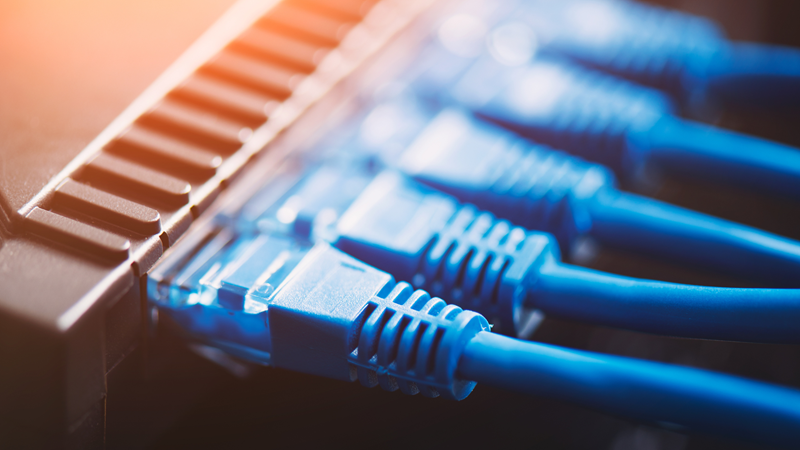 Close-up of blue Ethernet cables plugged into a network switch.